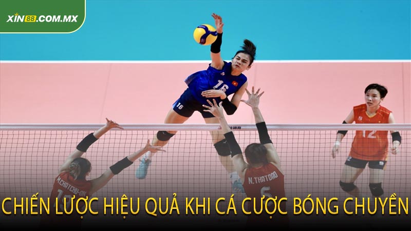Chiến lược hiệu quả khi cá cược bóng chuyền