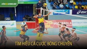 Tìm hiểu cá cược bóng chuyền