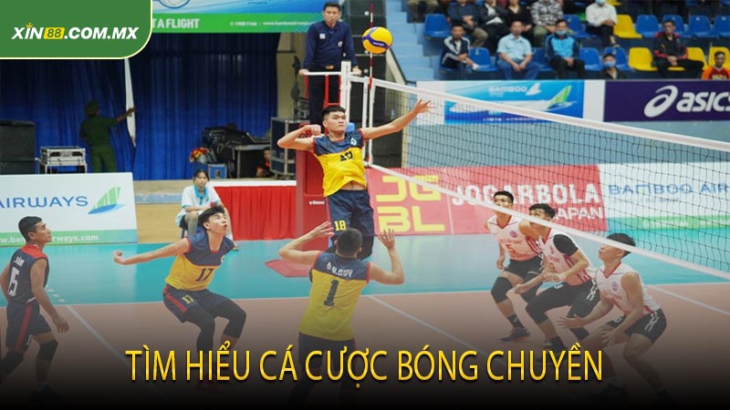 Tìm hiểu cá cược bóng chuyền