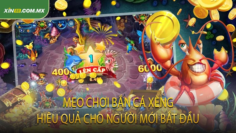 Mẹo chơi bắn cá xèng hiệu quả cho người mới bắt đầu