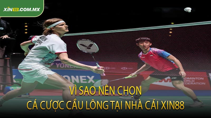 Vì Sao Nên Chọn Cá Cược Cầu Lông Tại Nhà Cái XIN88