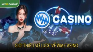 Giới Thiệu Sơ Lược Về WM Casino