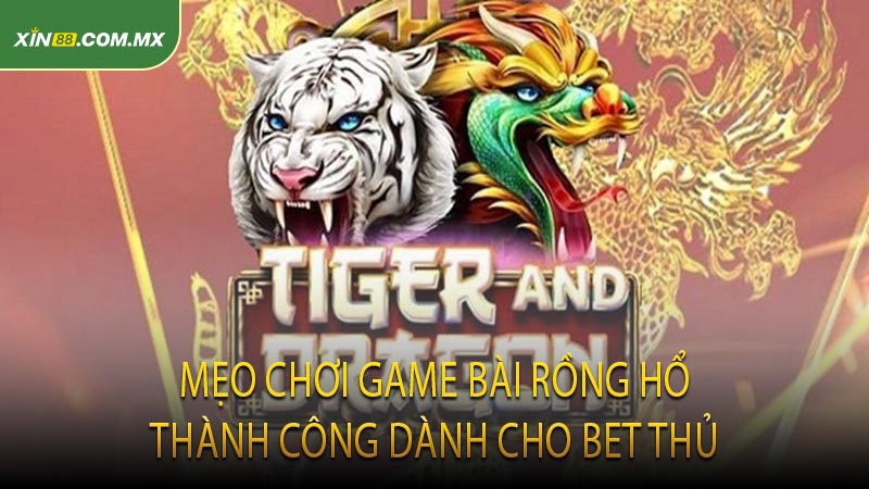 Mẹo Chơi Game Bài Rồng Hổ Thành Công Dành Cho Bet Thủ