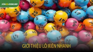 Giới Thiệu Lô Xiên Nhanh